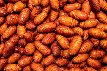 Tussah oak silkworm pupa for sale on market,Qingdao china