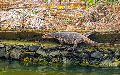 Bentota Beach Sri Lanka.