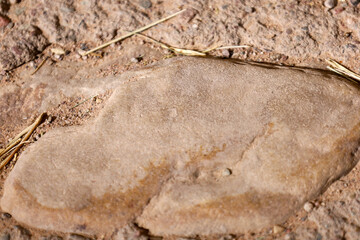 stone surface in an arid climate