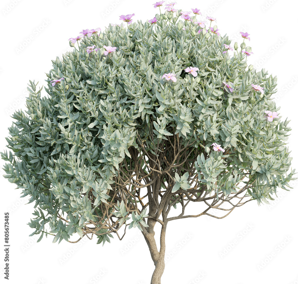 Aufkleber realistic 3d rendering of a tree on transparent background, suitable for architecture visualization,
