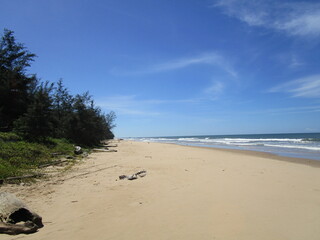endless pristine beach with driftwood and gentle waves