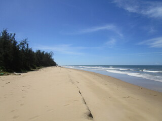 forested shore, sandy beach and gentle waves under clear skies