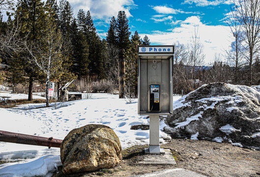 Cinematic Public Phone in the Forest