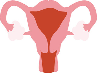 Menstruation Illustration. Menstrual clipart 