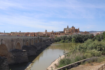  Cordoba. Andalusia. view with mosque and bridge 