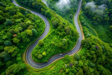 An overhead shot of a winding road cutting through a lush green forest, the intricate pathway highlighting the beauty of nature