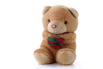 Cute Teddy Bear with roses