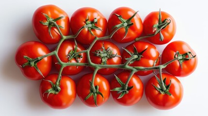 Fresh tomatoes on white background top view