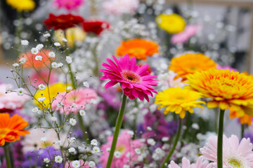 Beautiful flower bouquet, Flower background.