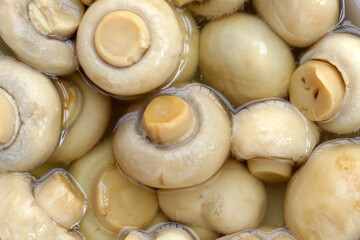 Champignon mushrooms in brine. Canned champignon mushrooms whole