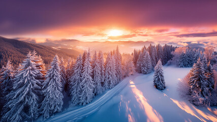 A serene winter landscape at sunset, with snow-covered trees