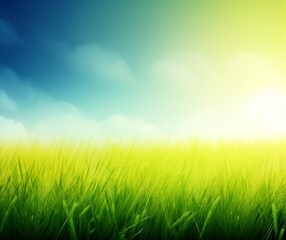 Vibrant Summer Sunrise over Fresh Green Grass Field