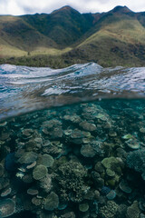 Middle water middle air