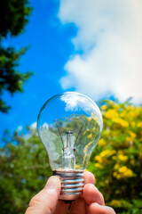 foco luz con fondo natural