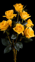 Yellow rose with copy space