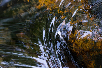 綺麗な水の流れる小川のせせらぎ