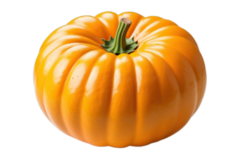 pumpkin isolated on transparent background