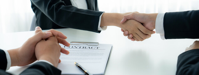 Two business executive shake hand in boardroom, sealing agreement merging two company. Handshake...
