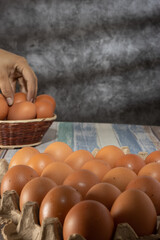 eggs on a sunny morning