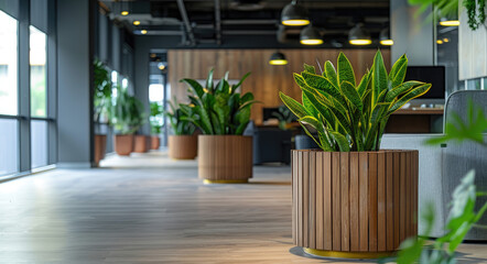 A modern office space with wooden furniture and green plants, featuring an indoor garden in the corner of one wall. The room has large windows that flood it with natural light