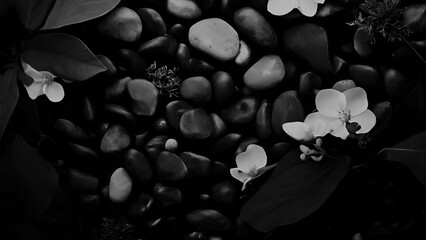 Dark Stones and Flowers. Dark featuring captivating stones and delicate flowers in shades of background. dark color stones and white flower background image for any kind of graphic, copy space