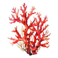 Soft Corals and Sea Fans Watercolor