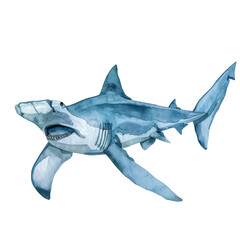 Fototapeta premium shark isolated on white