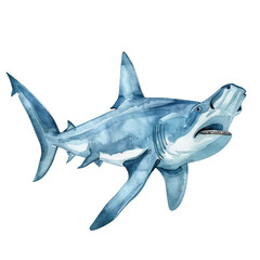Fototapeta premium shark isolated on white
