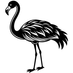 Fototapeta premium flamingo-full-body-silhouette-on-white-background