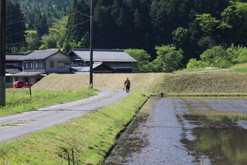 田舎の風景