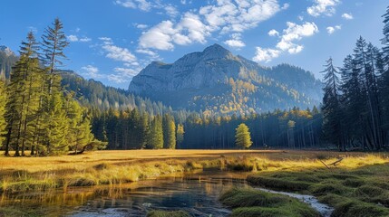 Forest of trees extending alongside a mountain with a clear sky.