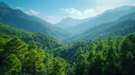 Naklejka premium A mountain and an extensive forest of trees against a clear sky.