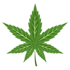 marijuana leaf for medical health care