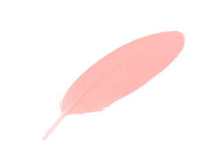 Beautiful light pink feather isolated pastel on white background