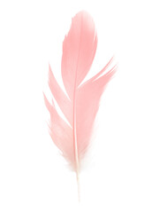 Beautiful soft light pink feather isolated pastel on white background