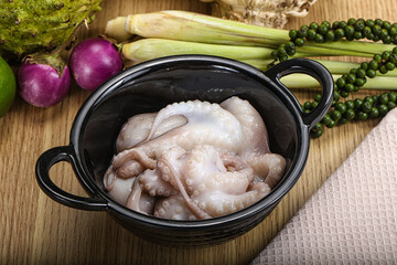 Delicous fresh raw uncooked octopus