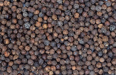 Top View of Dry Black Pepper Background with Copy Space in Horizontal Orientation, Spice and Condiment