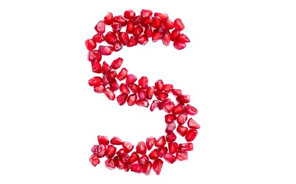 S English Alphabet Capital Letter Written with Pomegranate Seeds Isolated on White Background, Kindergarten Children Education Concepts
