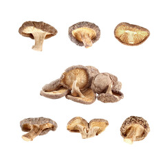 Dried shiitake mushrooms isolated on white background.