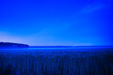 Fototapete Rund field in the morning © Enrico Obergefäll