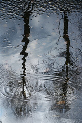 Obraz premium Distorted reflections of trees in a rainwater puddle, with their fragmented forms and rippling surfaces 