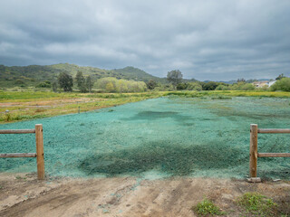 Springtime Hydroseeding in rural landscape, Valley Center, California