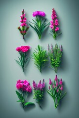 Obraz premium Colorful abstract meadow floral silhouette artwork in vibrant colors against a background. Great is flower design inspiration