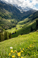 Alpine mountain landscape: View into the Habersauertal up to the Stripsenkopfjoch (1807 m) in the Kaisergebirge, Mountains in Tyrol, Austria in spring. Alpine mountain hike or mountain bike tour