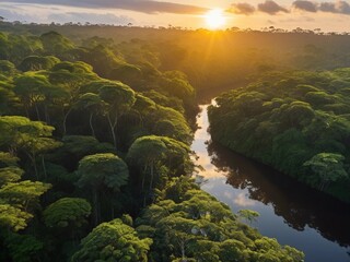 Witness the Beauty of Amazon Forest Sunrise: Creative Aerial Landscape"