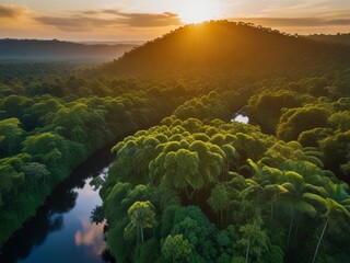 Amazon Sunrise: Aerial Exploration of Green Paradise from a Drone"
