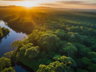 Witness the Beauty of Amazon Forest Sunrise: Creative Aerial Landscape