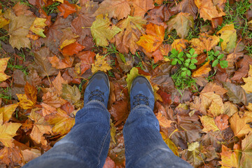 pov of men walking on autumn leaves in forest