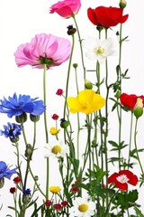 Fototapeta premium Colorful abstract meadow floral silhouette artwork in vibrant colors against a background. Great is flower design inspiration