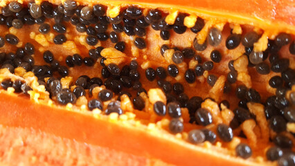 Close-up photo of papaya fruit black papaya seeds